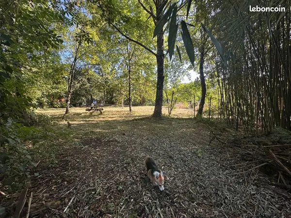 À vendre - Terrain à bâtir de 800 m² avec piscine existante et terrasse bois 