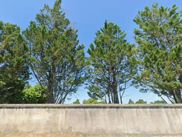 Terrain 475 m² 