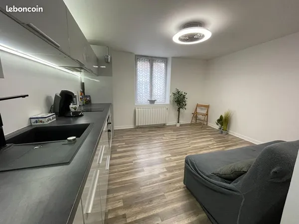 Appartement 3 pièces 41 m² 