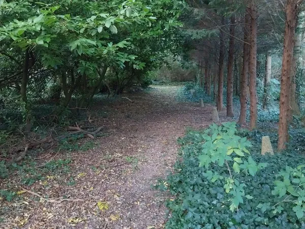 Terrain Douvrin 