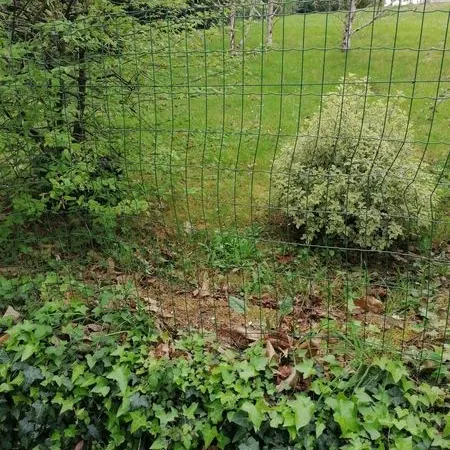 Terrain 247 m² Lanester 