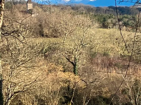 Joli terrain constructible calme avec vue 