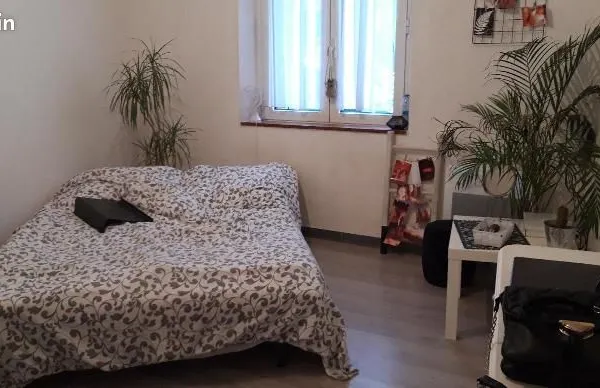 Appartement 1 pièce 24 m² 