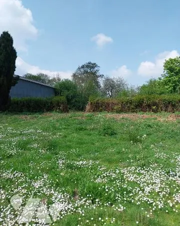 Terrain 919 m² 