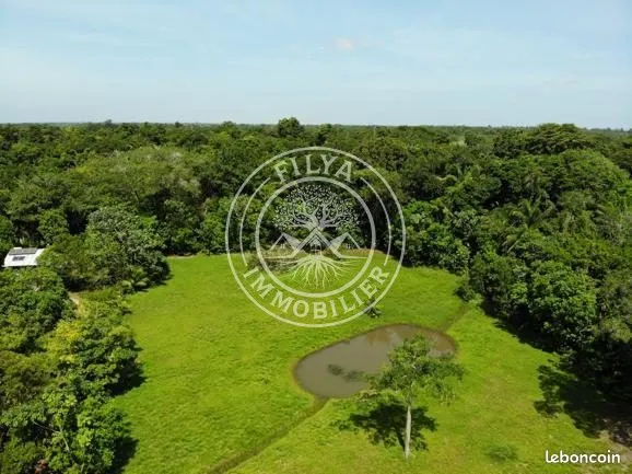 Terrain 5000 m² MACOURIA 