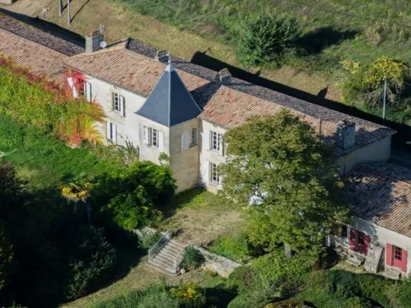 Château à VENDRE 