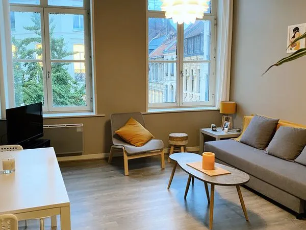 Magnifique T2 Vieux Lille 43m2 Meublé 
