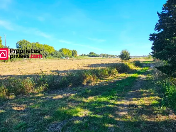 Terrains agricoles à Elne d'une superficie totale de 29 112 m2 