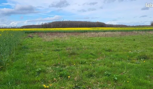 Terrain 1200 m² 
