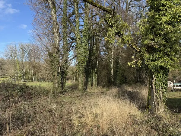 FORET-CHENU (SAINT-PHAL) - Terrain à bâtir de 5430m2 