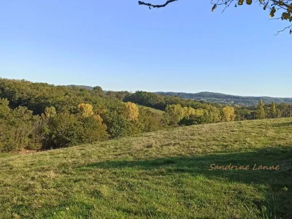 Propriété 1 pièce 