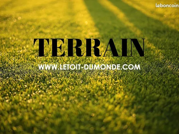 Terrain 9547 m² CHANCELADE 