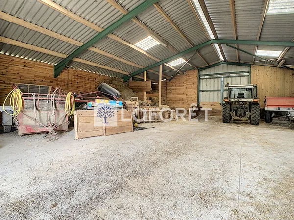 Appartement 215 m² 