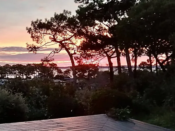Villa avec vue sur la canopée et le Bassin d'Arcachon : des levé 