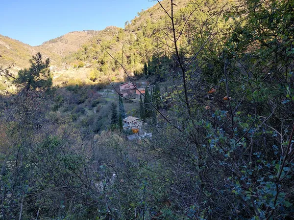 Petite maison à rénover & 5000m2 de terrain 