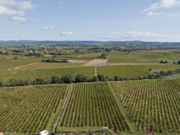 Terrain 237 m² 