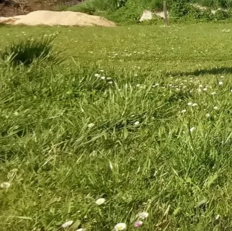 Terrain 616 m² Perigueux 