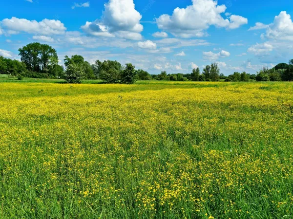 Terrain à bâtir de 280 m² à BRUZ (35) 