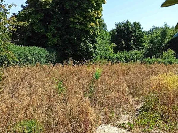 Terrain en individuel 1500 m² 