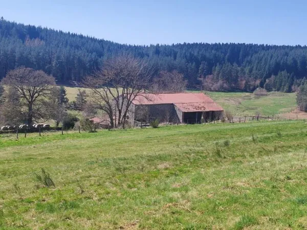 Terrain 1 990 m² Riotord 
