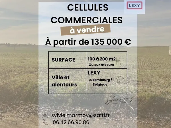 CELLULE COMMERCIALE 