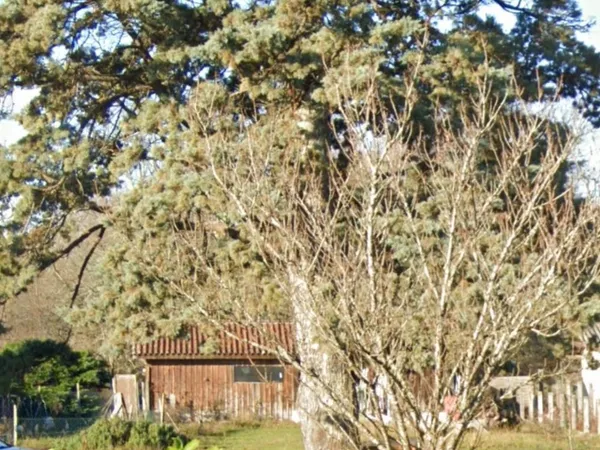 Terrain 645 m² 