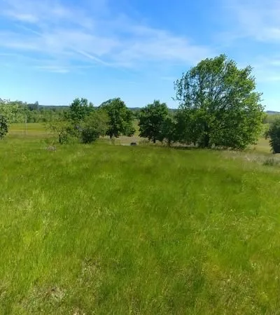 Terrain 1 737 m² Saint Aigulin 