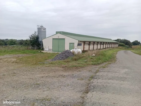 Local 450 m² 