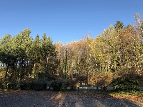 PARCELLES A BATIR AVEC VUE PLAN D'EAU 