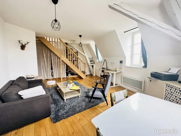Duplex 2 pièces 47 m² 