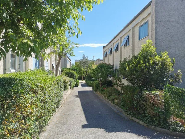 Appartement 1 pièce 24 m² 