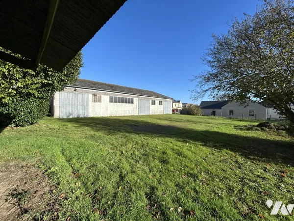Local 300 m² 