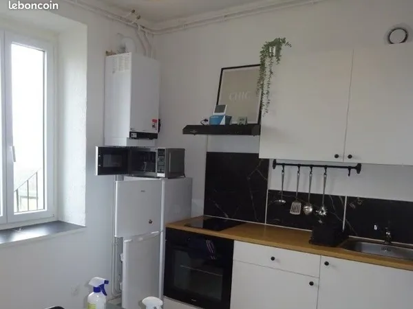 Appartement T1bis entièrement rénové, décoré et meublé en excellent état 