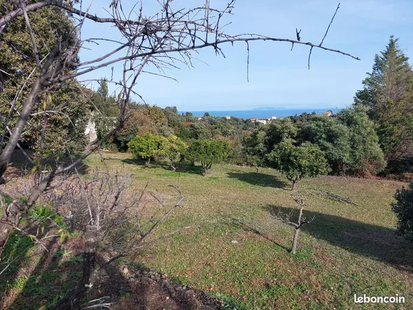 Terrain constructible Cervione 
