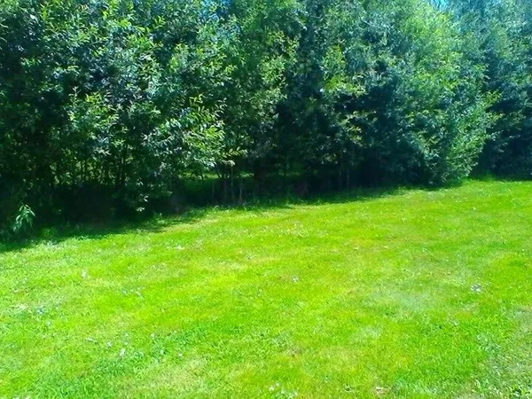 Terrain 320 m² 
