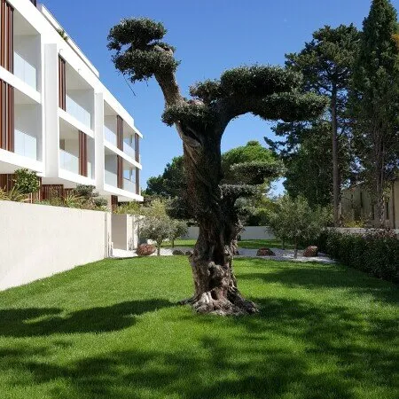 BAILLARGUES - APPARTEMENT T3 - 62.30m² 