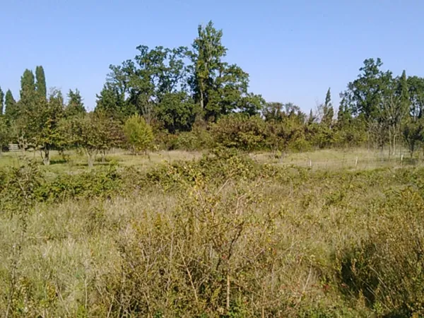 Terrain 524 m² 