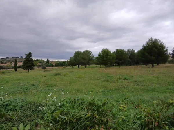 Terrain 305 m² 