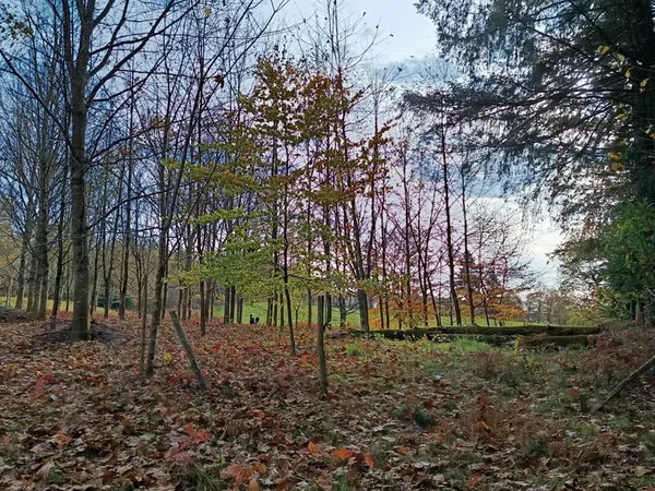 Terrain idéal pour rojet autonomie durable 