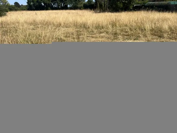 Terrain en individuel 360 m² 