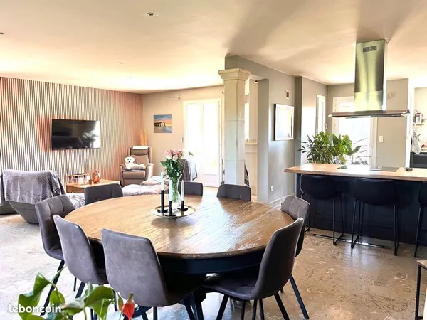 Maison rénovée avec piscine et gîte 