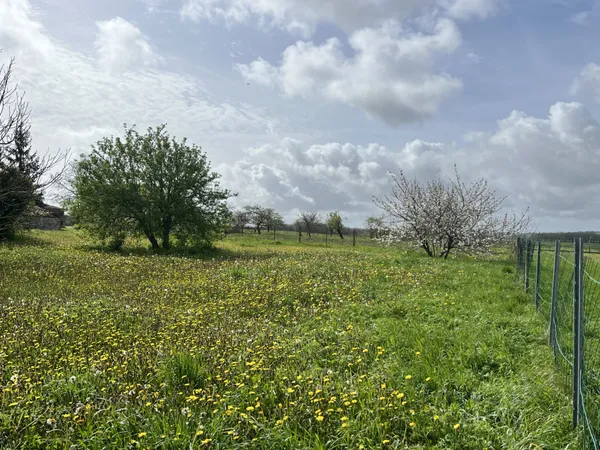 Terrain à bâtir de 2249m2 à acheter à Germignac (17) 