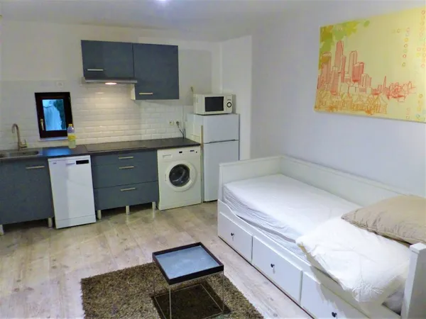 Appartement 1 pièce 20 m² 