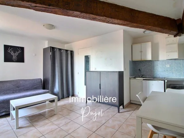 Appartement 1 pièce 19 m² 