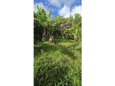 Terrain constructible et plat d'une superficie de 977m² 