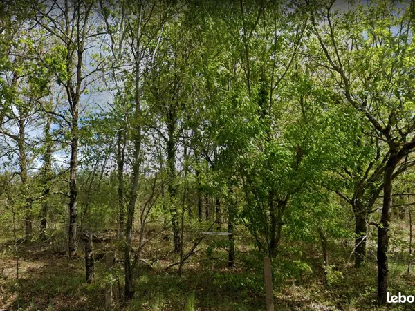 Terrain 328 m² MOUSTEY 