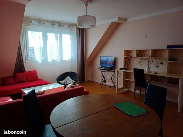 Appartement grand 3 pièces, centre 