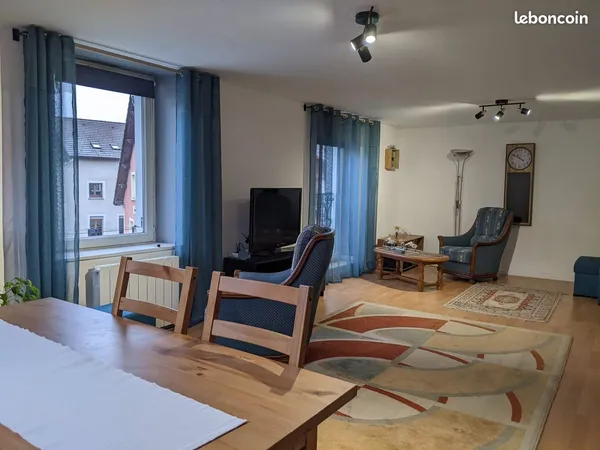 Grand appartement Centre ville 