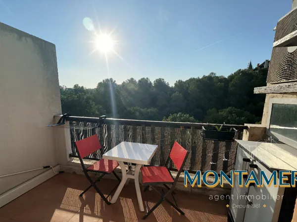 Studio avec balcon et vue 