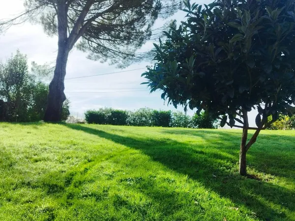Terrain 879 m² 